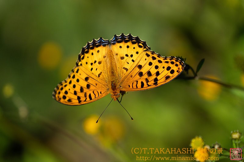 ../Images/7R241013 (372).jpg